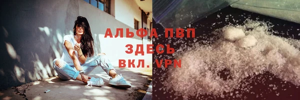 индика Абинск