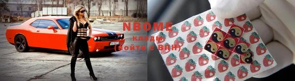 индика Абинск