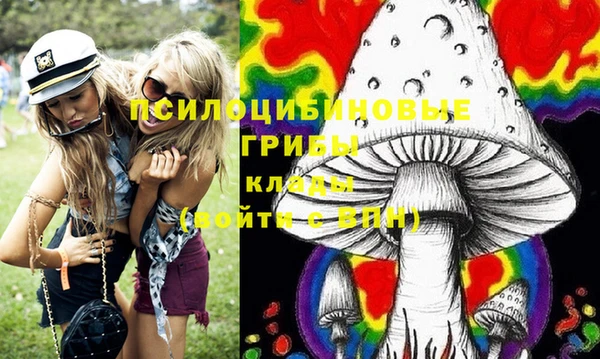 индика Абинск