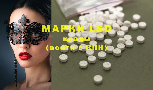 индика Абинск