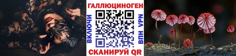 кракен   Пенза  Псилоцибиновые грибы MAGIC MUSHROOMS 