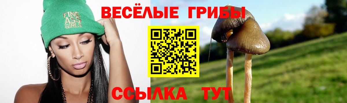 Галлюциногенные грибы прущие грибы  Псилоцибиновые грибы ЛСД  Пенза  Вход с VPN 