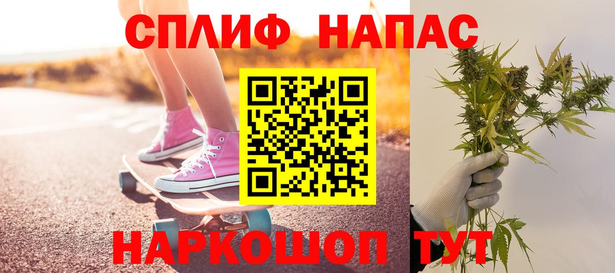 ГАШ Пенза